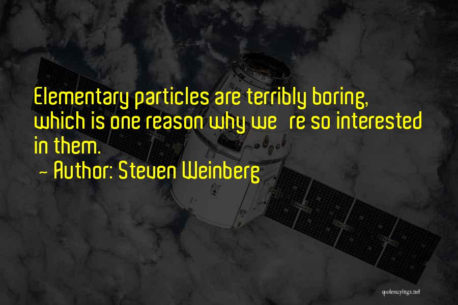 Steven Weinberg Quotes 1888068