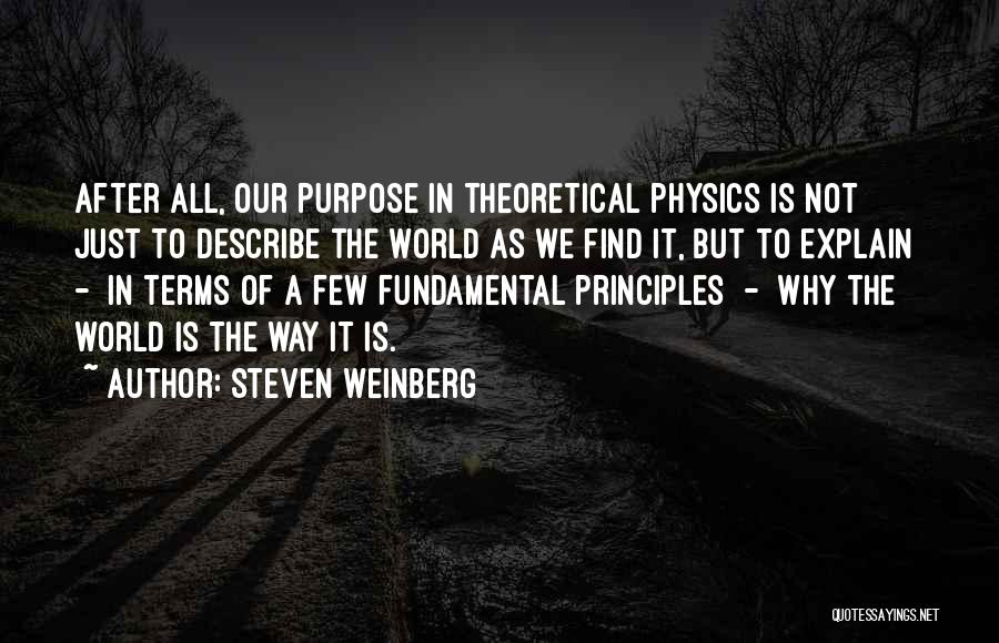 Steven Weinberg Quotes 1914111