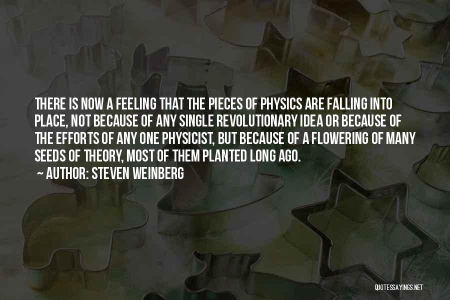 Steven Weinberg Quotes 521117