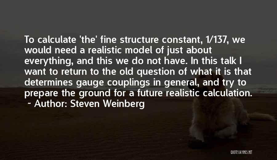 Steven Weinberg Quotes 794565