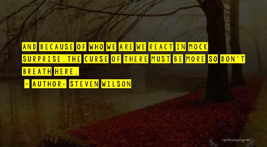 Steven Wilson Quotes 1071861