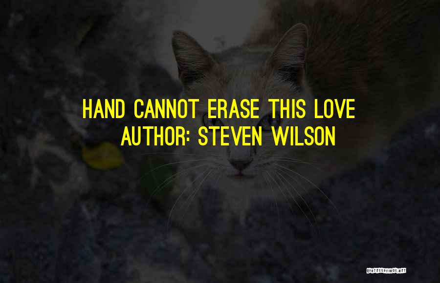 Steven Wilson Quotes 1243059