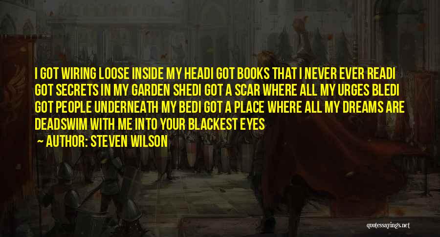 Steven Wilson Quotes 1794137