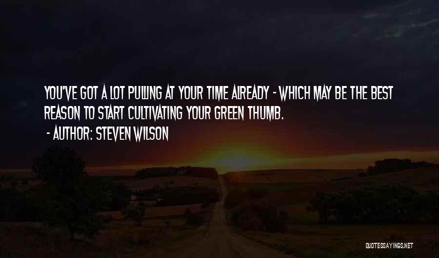 Steven Wilson Quotes 916604