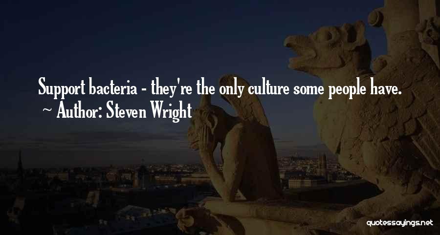 Steven Wright Quotes 1257144