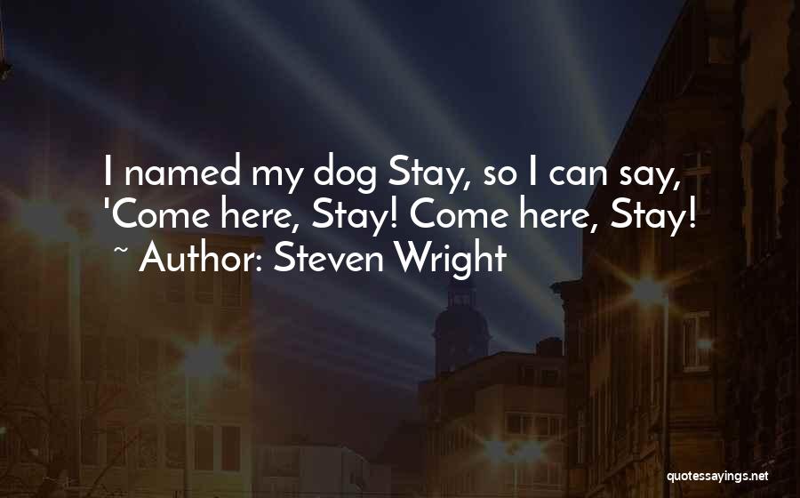 Steven Wright Quotes 698338