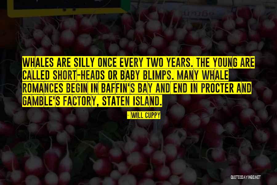 Stevens Point Quotes By Will Cuppy Stevens Point Quotes By Will Cuppy