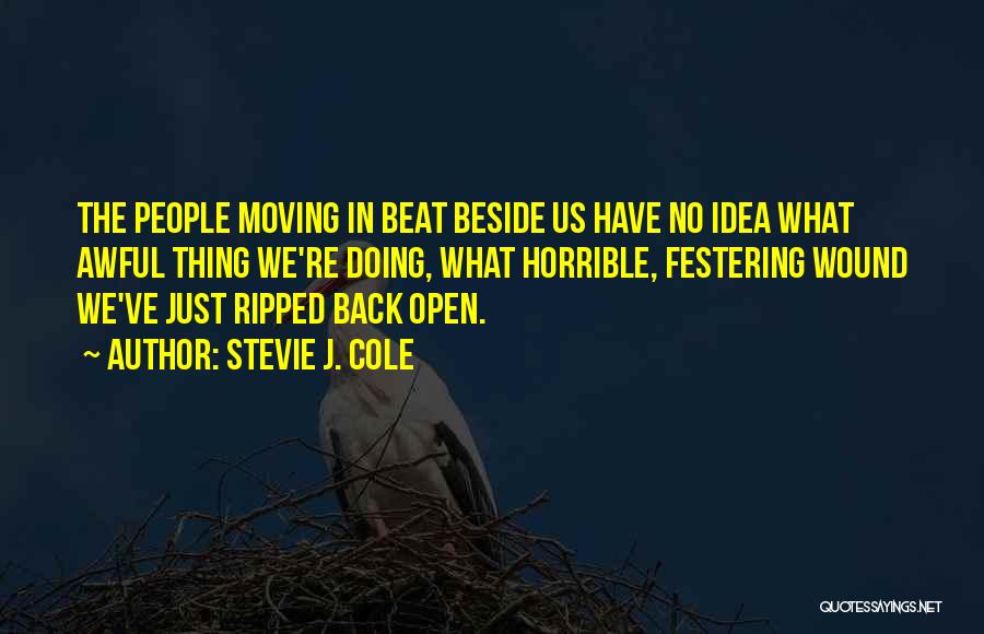 Stevie J. Cole Quotes 2169731