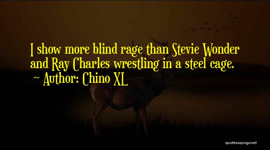 Stevie Ray Quotes By Chino XL