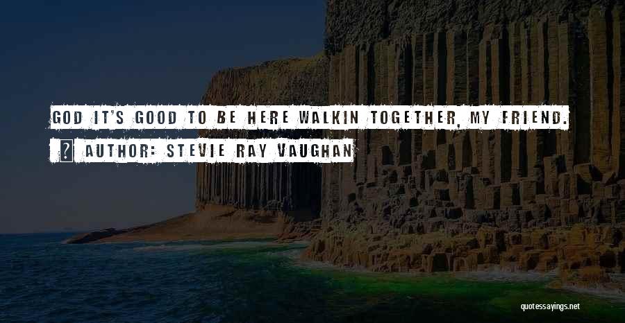 Stevie Ray Vaughan Quotes 1020511