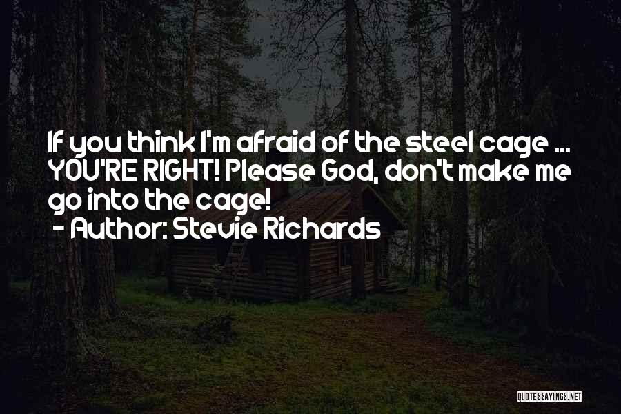 Stevie Richards Quotes 357854