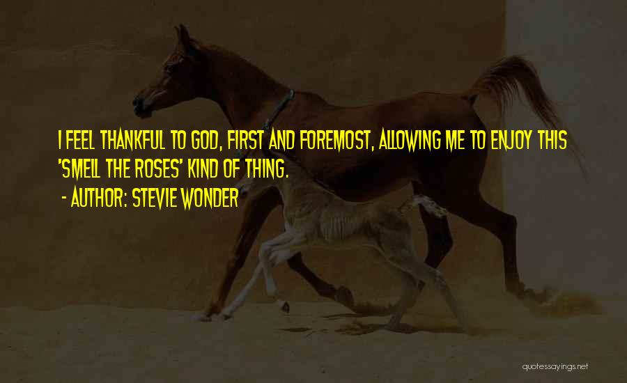 Stevie Wonder Quotes 1468646