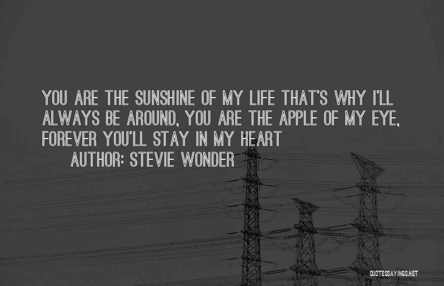 Stevie Wonder Quotes 1888057