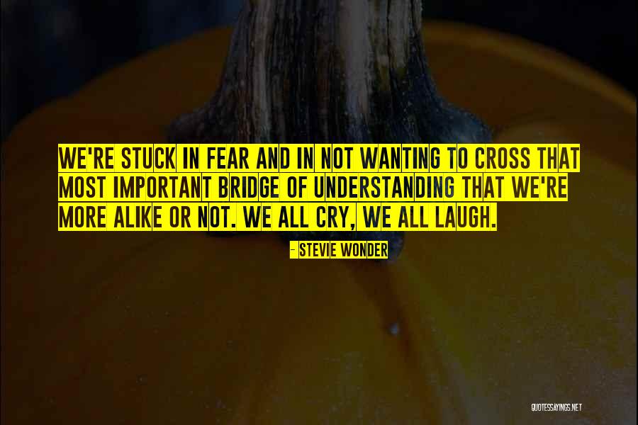 Stevie Wonder Quotes 1950424 Stevie Wonder Quotes 1950424