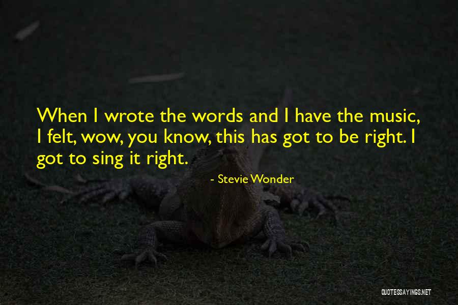 Stevie Wonder Quotes 405900