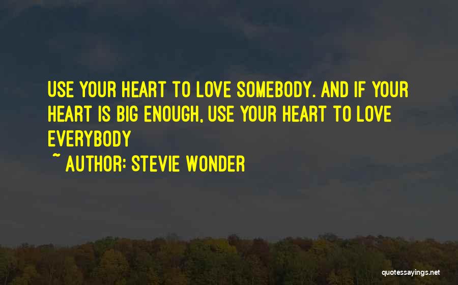 Stevie Wonder Quotes 779012