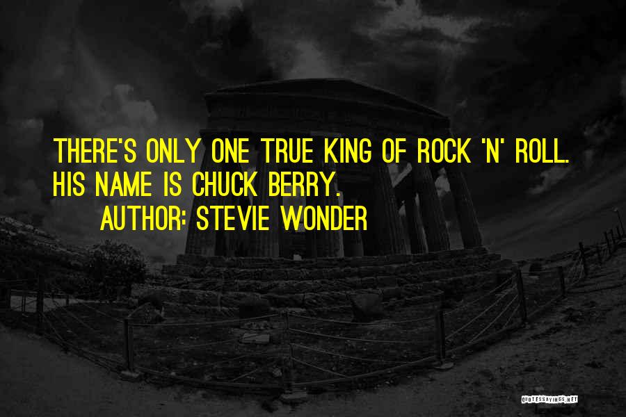 Stevie Wonder Quotes 959198
