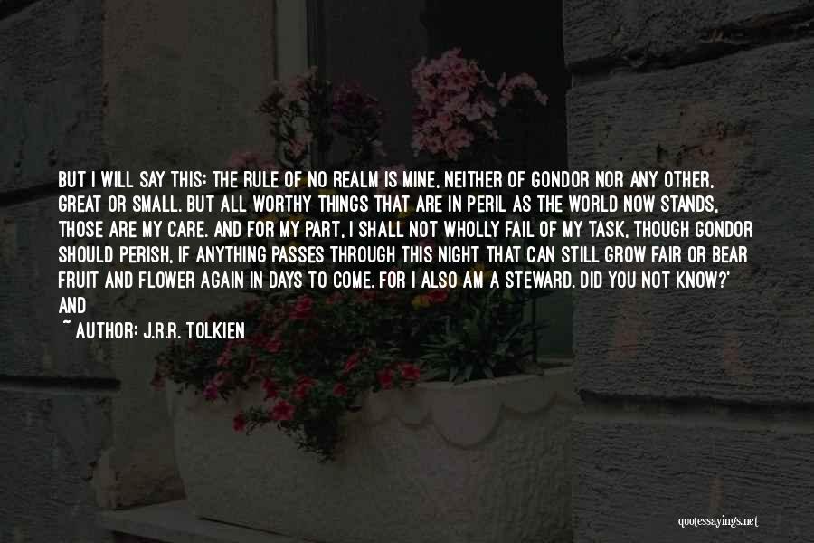 Steward Of Gondor Quotes By J.R.R. Tolkien