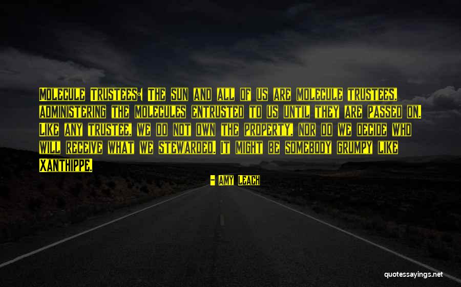 Stewarded Quotes By Amy Leach Stewarded Quotes By Amy Leach