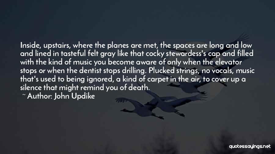 Stewardess Quotes By John Updike