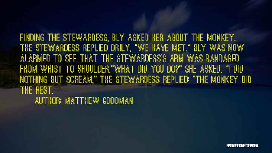 Stewardess Quotes By Matthew Goodman