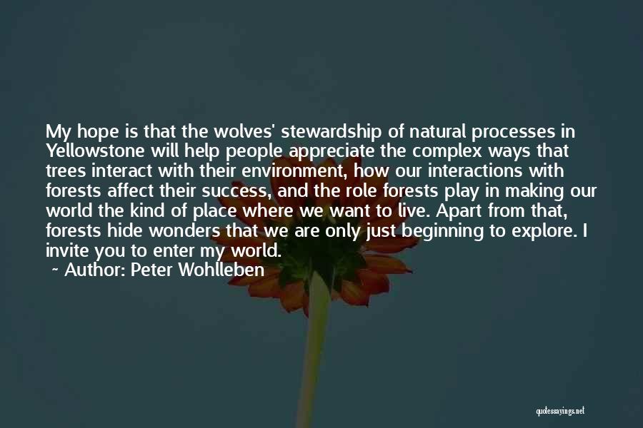 Stewardship Quotes By Peter Wohlleben