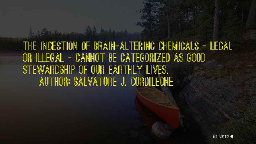 Stewardship Quotes By Salvatore J. Cordileone