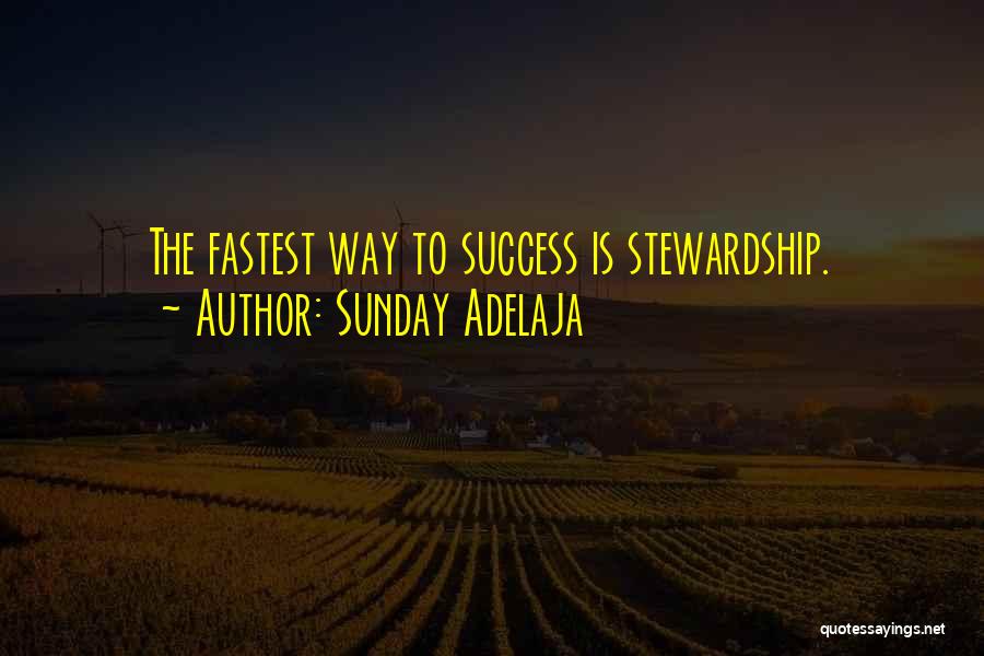 Stewardship Quotes By Sunday Adelaja