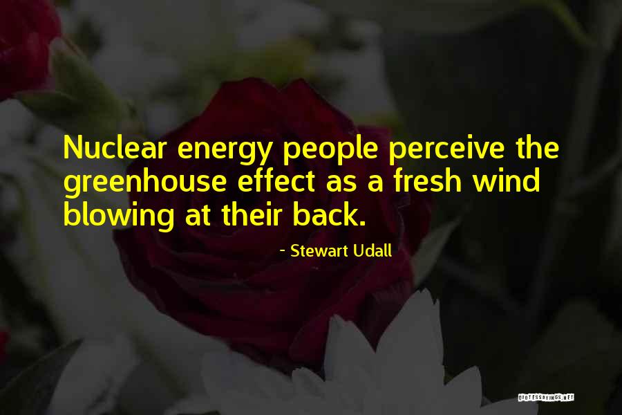 Stewart Udall Quotes 2054636