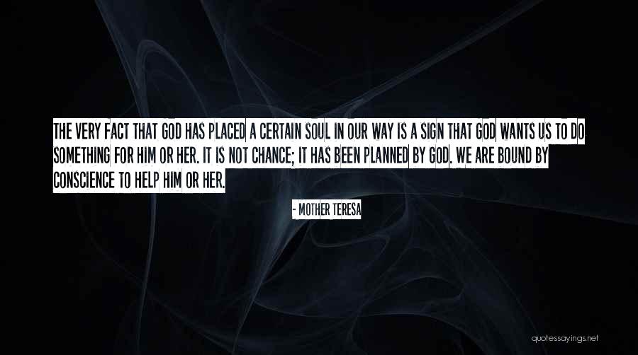 Stewmans Bar Quotes By Mother Teresa Stewmans Bar Quotes By Mother Teresa