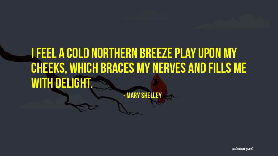 Stgs250401 Quotes By Mary Shelley Stgs250401 Quotes By Mary Shelley