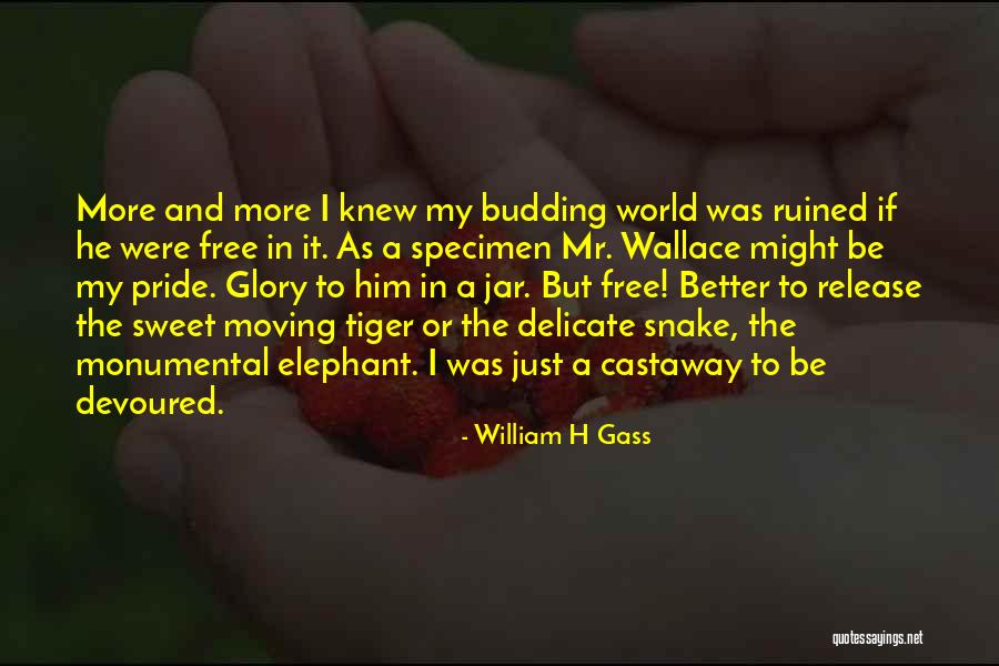 Stiban Vzorec Quotes By William H Gass Stiban Vzorec Quotes By William H Gass