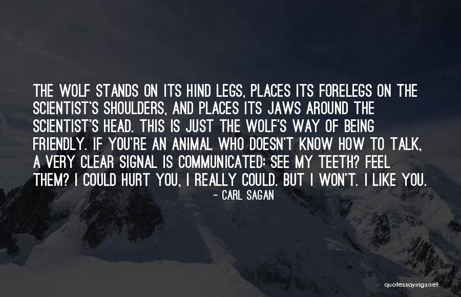 Stibbe Excavating Quotes By Carl Sagan Stibbe Excavating Quotes By Carl Sagan