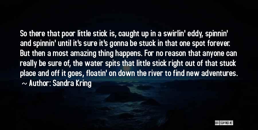 Stick In There Quotes By Sandra Kring