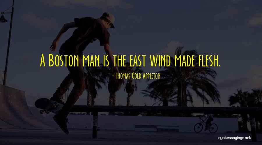 Stick Nodes On Pc Quotes By Thomas Gold Appleton