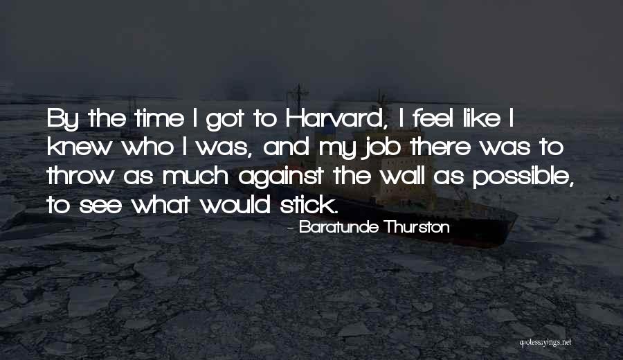 Stick On The Wall Quotes By Baratunde Thurston