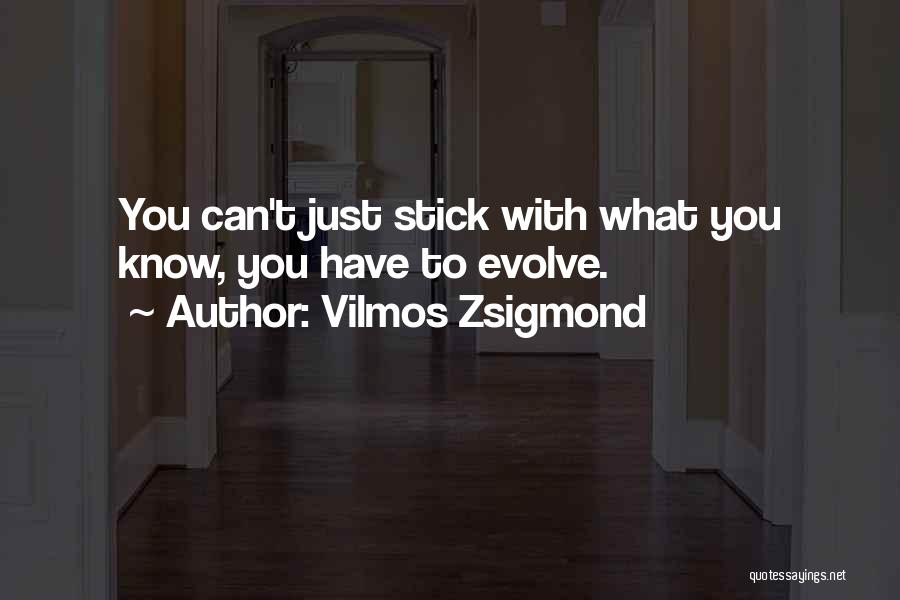 Stick Quotes By Vilmos Zsigmond