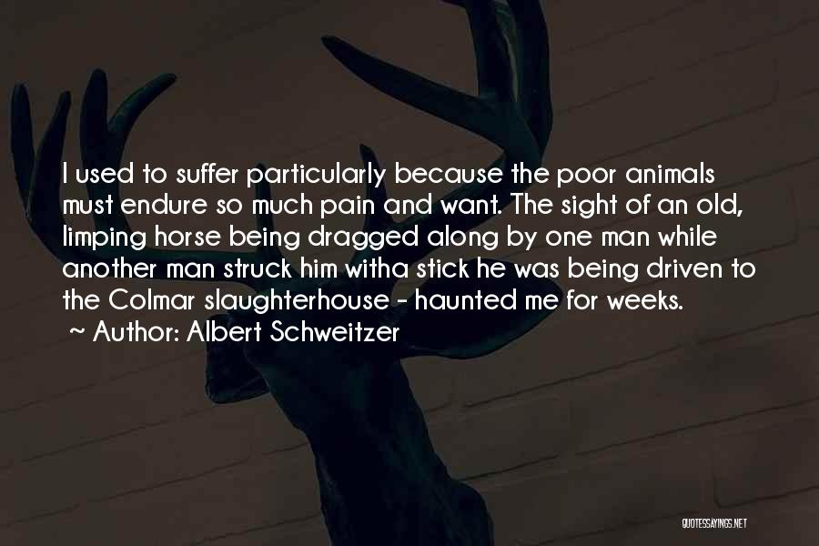 Stick To One Man Quotes By Albert Schweitzer