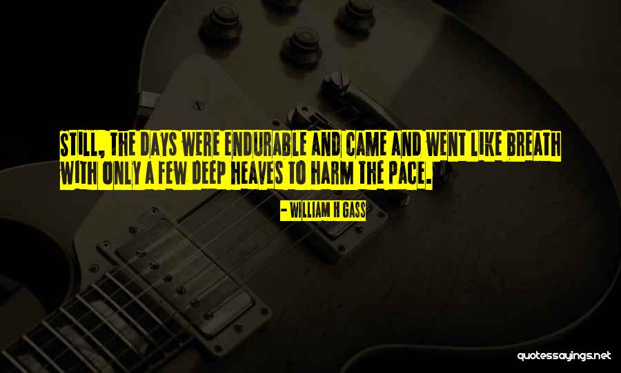 Stick To Your Guns Inspirational Quotes By William H Gass Stick To Your Guns Inspirational Quotes By William H Gass