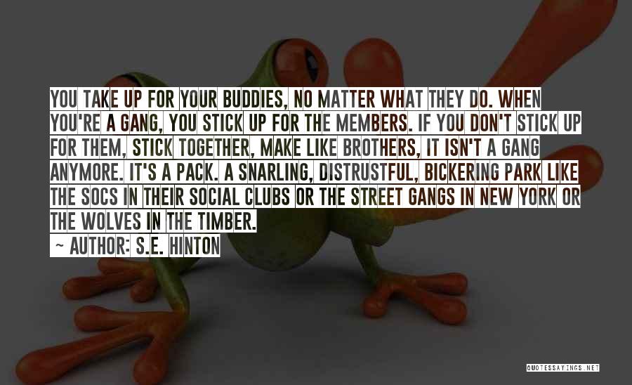 Stick Together No Matter What Quotes By S.E. Hinton