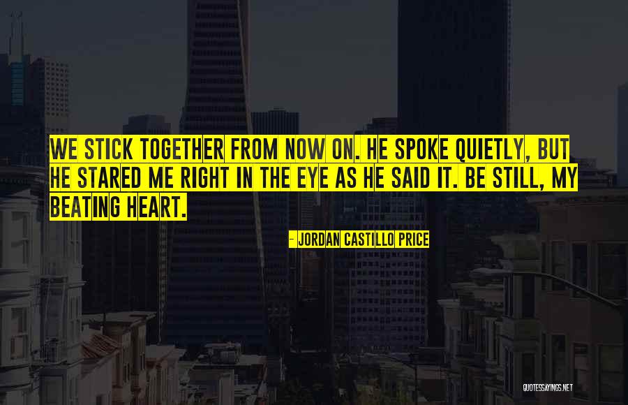 Stick Together Quotes By Jordan Castillo Price