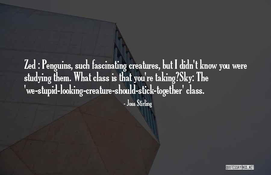 Stick Together Quotes By Joss Stirling