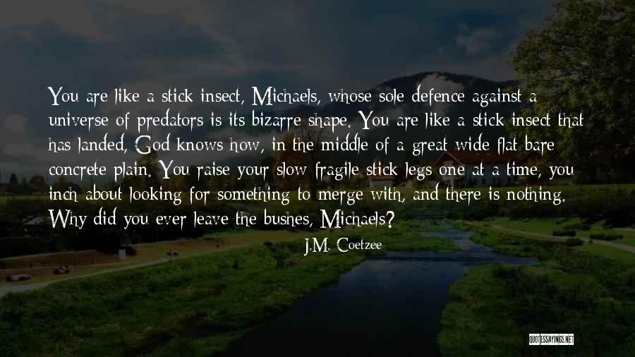 Stick With God Quotes By J.M. Coetzee Stick With God Quotes By J.M. Coetzee