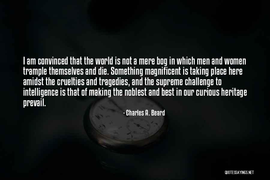 Stickball Bat Quotes By Charles A. Beard Stickball Bat Quotes By Charles A. Beard