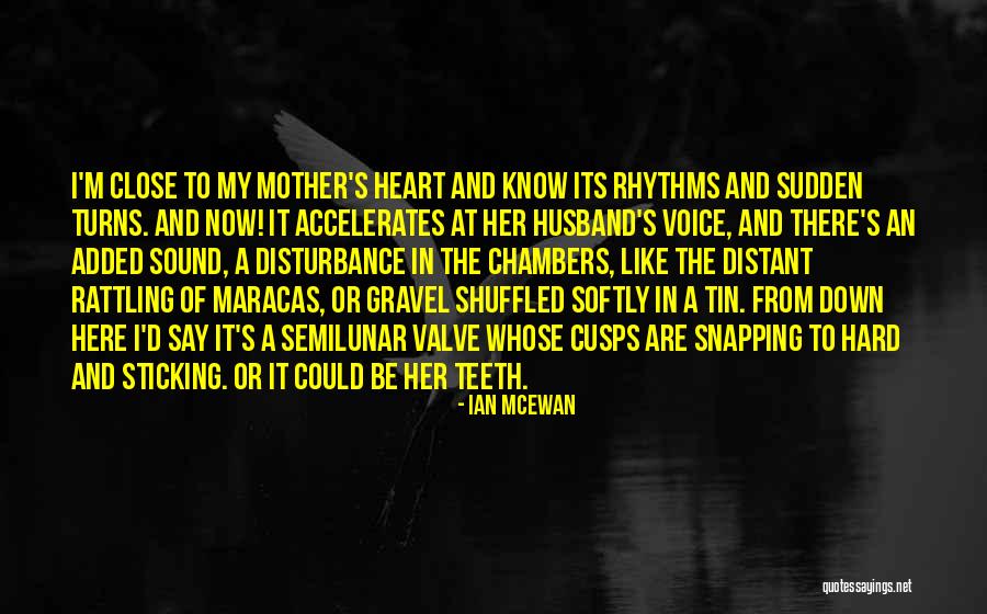 Sticking In There Quotes By Ian McEwan Sticking In There Quotes By Ian McEwan