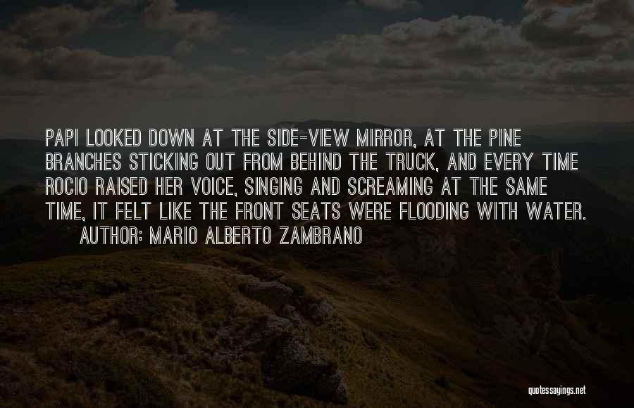 Sticking It Out Quotes By Mario Alberto Zambrano