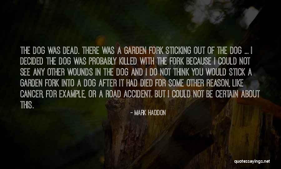 Sticking It Quotes By Mark Haddon Sticking It Quotes By Mark Haddon