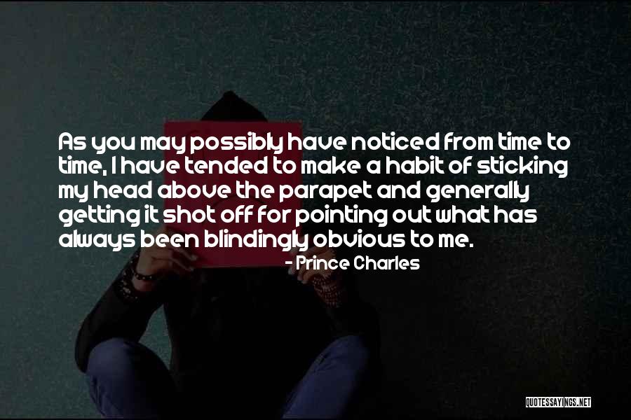 Sticking It Quotes By Prince Charles Sticking It Quotes By Prince Charles