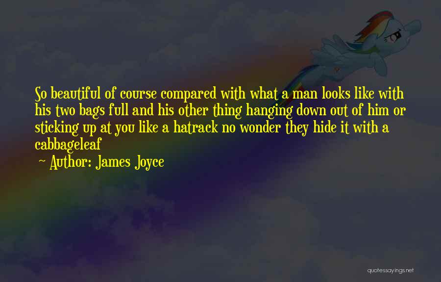 Sticking It To The Man Quotes By James Joyce
