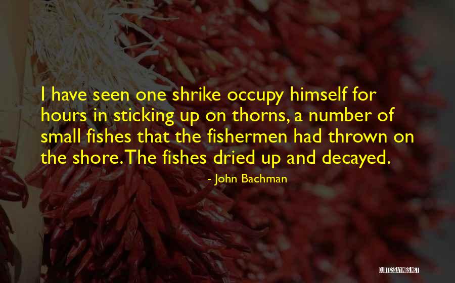 Sticking Things Up Quotes By John Bachman Sticking Things Up Quotes By John Bachman